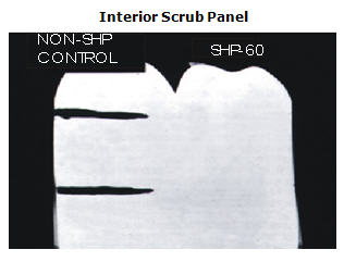 interior.jpg