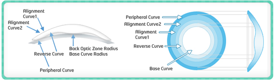 base-curve-on-contacts