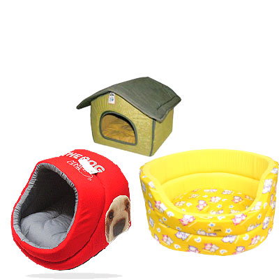 dog house