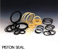 Piston Seal