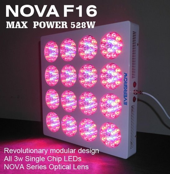 Ever_Grow_High_Power_240x3w_LED_Grow_Panel.jpg