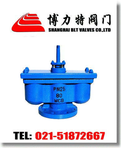 QB2双口排气阀