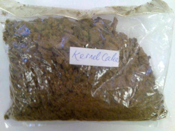 palm-kernel-cake-product-details-view-palm-kernel-cake-from-ace-wee