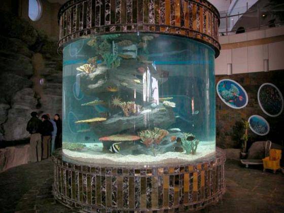 Cylinder Fish Tank(id:2648985) Product details - View