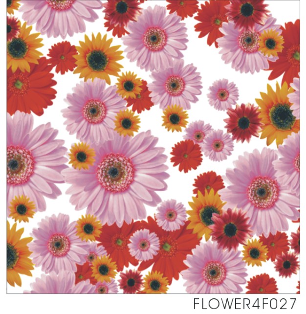 FLOWER4F027