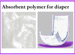흡수성 폴리마