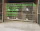 鸡鸽兔笼狐狸笼鹌鹑笼宠物笼饲料盒食盒饮水器粪板草架等