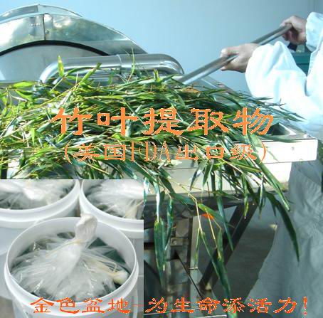 竹叶提取物―天然功能食品添加剂Bamboo Leaves Extract
