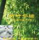 竹叶多糖-抗衰老/抗肿瘤佳品Bamboo Leaves Polysaccharides