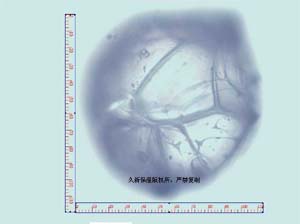 憎水玻化微珠