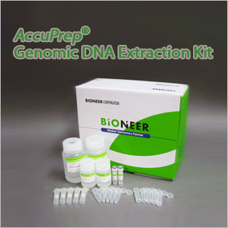 AccuPrep Genomic DNA Extraction Kit Id 7292619 Buy Korea DNA RNA