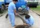 北京丰台区专业疏通下水道63337812清洗下水道抽粪公司