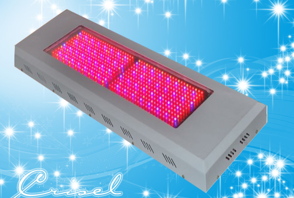 600W Plant Grow Light