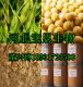 大豆异黄酮40% 厂家供应 保质保量