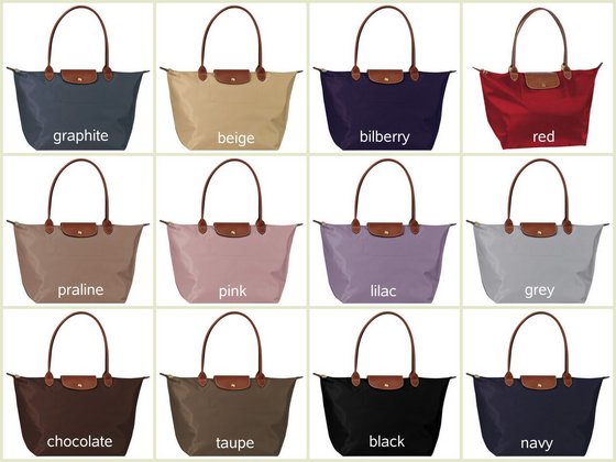 longchamp tote le pliage handheld