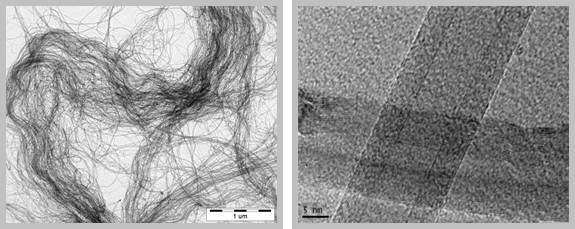 碳素nanotubes(CNT Premium/MR99)