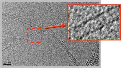 碳素nanotubes(CNT SP95,SWCNT)