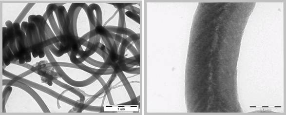 碳素Nano纤维(Graphite Nanofiber, GNF-100)