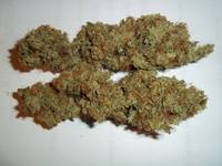 100% Legal Bud,Orange Krush,Herbal Oil,Kush Oil,Purple Kush