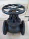 504-F (ANSI) Cast Iron Globe Valve 