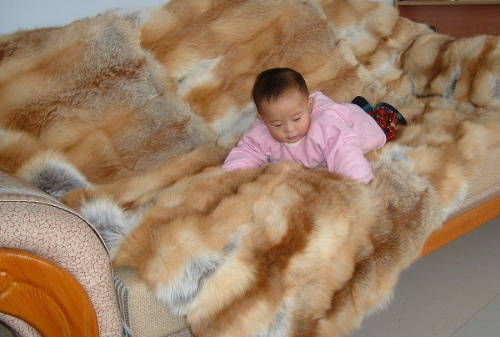 fur throw blanket