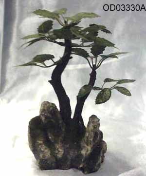 Bonsai