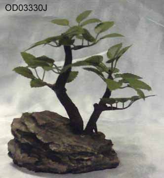 Bonsai