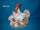 Animal(polyresin, hen)