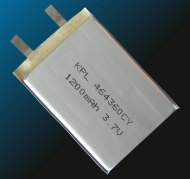 Polymer Li-ion battery