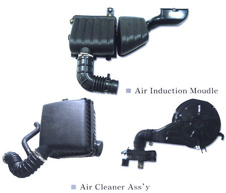 Air Induction System