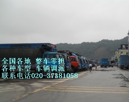 专业调车-广东专业车辆调度中心020-37382176