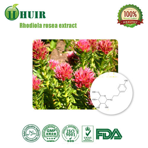 Rhodiola Rosea Extract Id Buy China Rhodiola Rosea Herbal