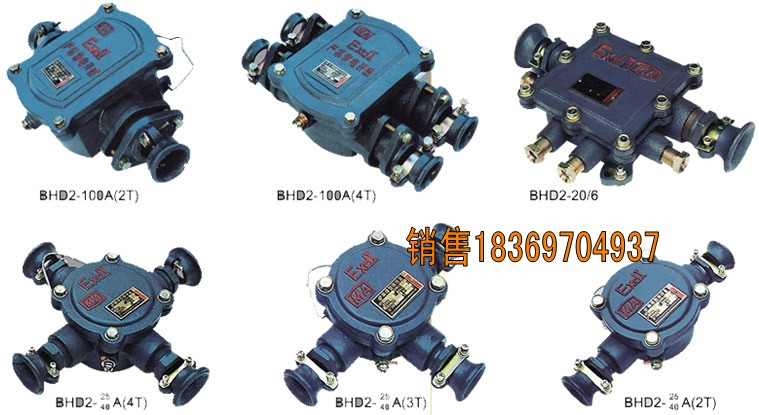  大量供应矿用BHD2-100-660-6T耐腐蚀低压电缆接线盒