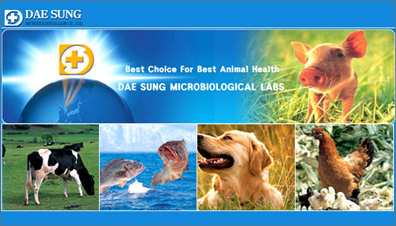 Daesung Microbiological Labs