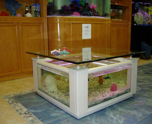 fish tank coffee table. 57 Gal Coffee Table Fish Tank