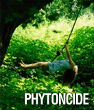 phytoncide是?