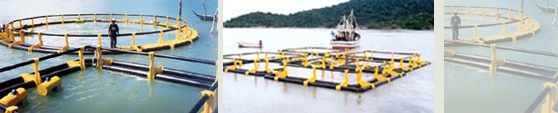 EQUATOR - Open Sea Aquaculture Cage System