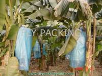 banana tree bag banana tree bag banana tree bag banana tree bag