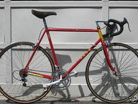 Novara+trionfo+bike