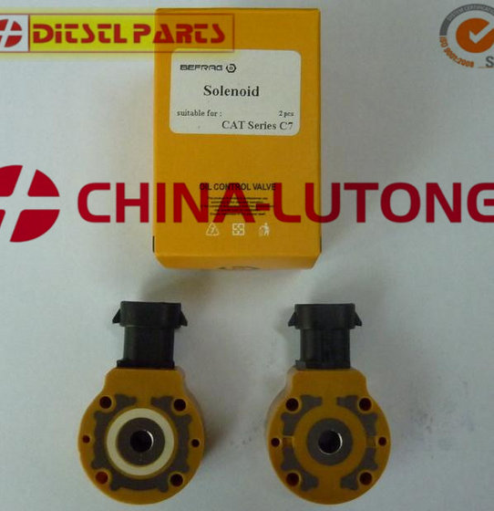 Chinese Top Quality Solenoid Common Rail for Cat C7,C9 Injector image 2