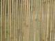 厘竹,茶杆竹,竹花签,竹篱笆,柳篱芭,芦苇篱笆,黑芒篱笆,岗松篱笆,木篱笆