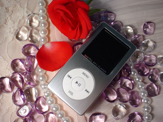 Apple IPOD style MP3