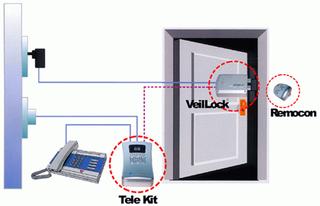 VeilGuard System--Home Security System