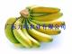 大量供应香蕉（徐闻产地种植商）