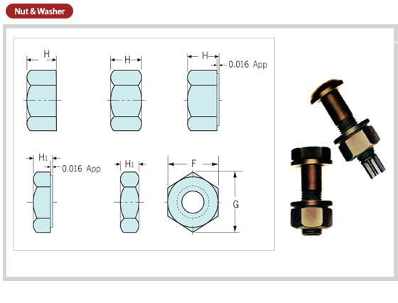 Nut & Washer