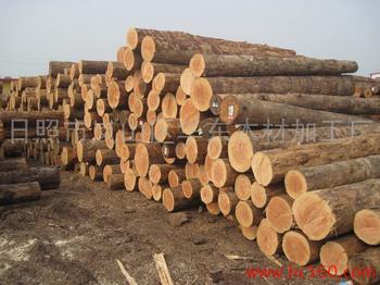  小三通进口非洲木材到龙岗区