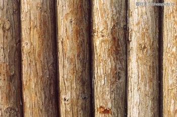 木材从台湾高雄进口