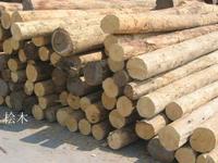 欧洲木材包税买单进口