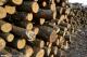欧洲木材从台湾基隆进口到南山盐田龙冈