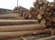 木材从台湾高雄进口拖车报关代理